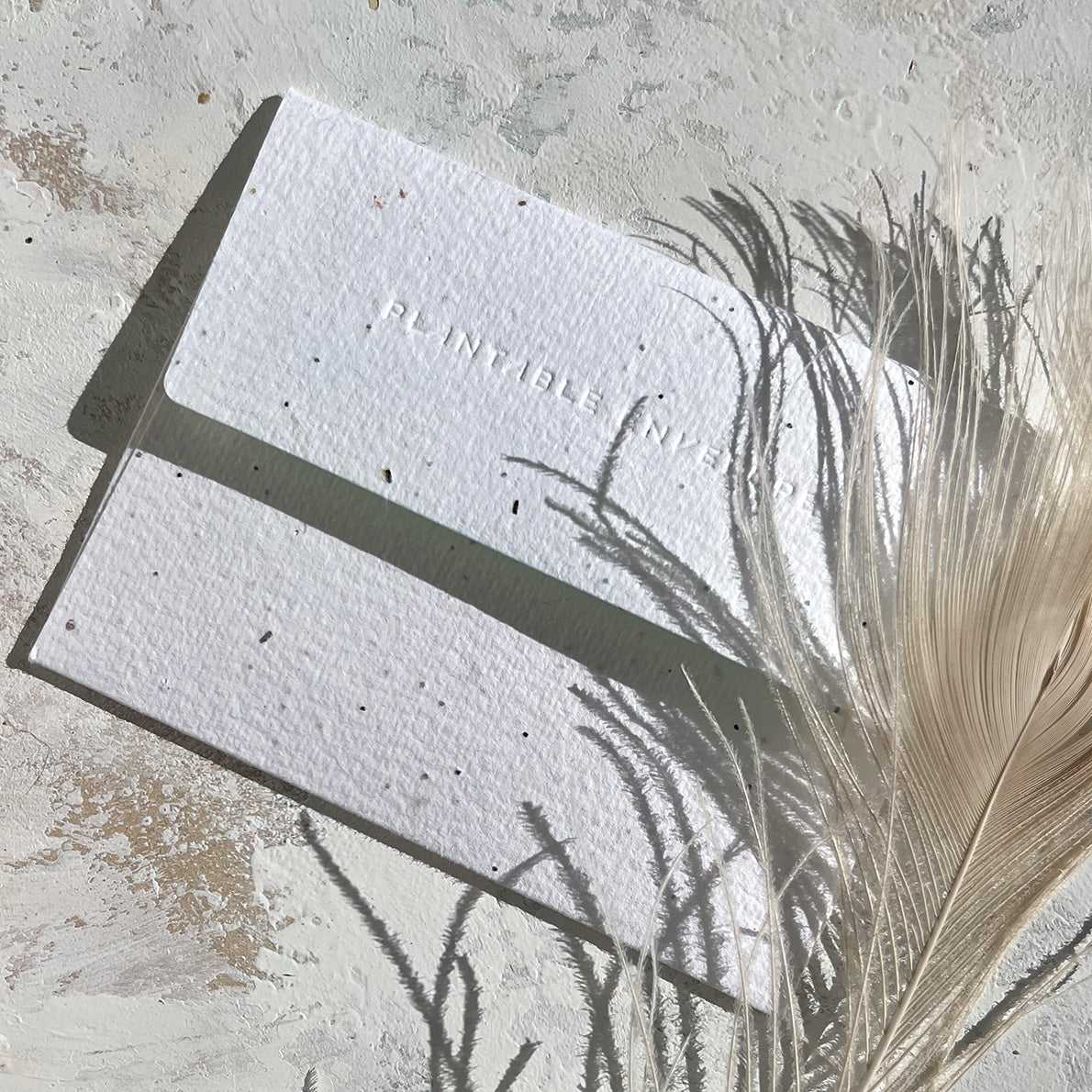 Seedlings birthday card with plantable envelope, textured white plantable envelope and card beside dried grass