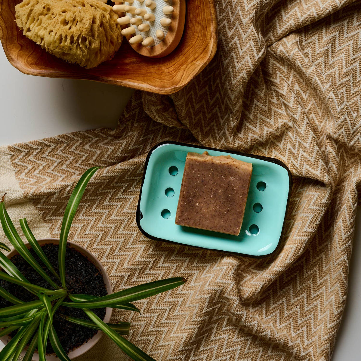 Dandelion Naturals - Tea Tree Bar Soap | Face Soap | Soap for Men | Clean Soap