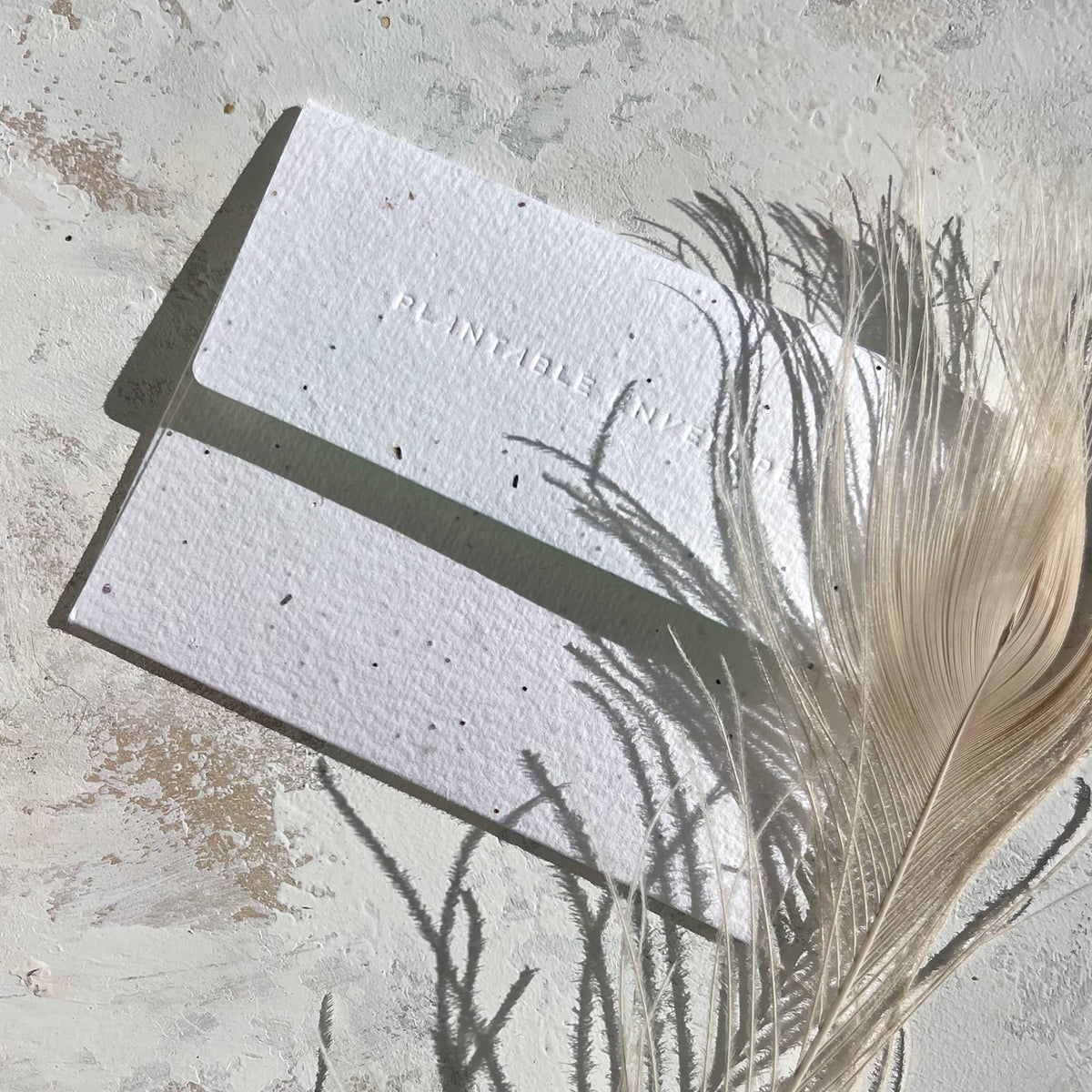 Whimsy Bloom - Love + Friendship Card