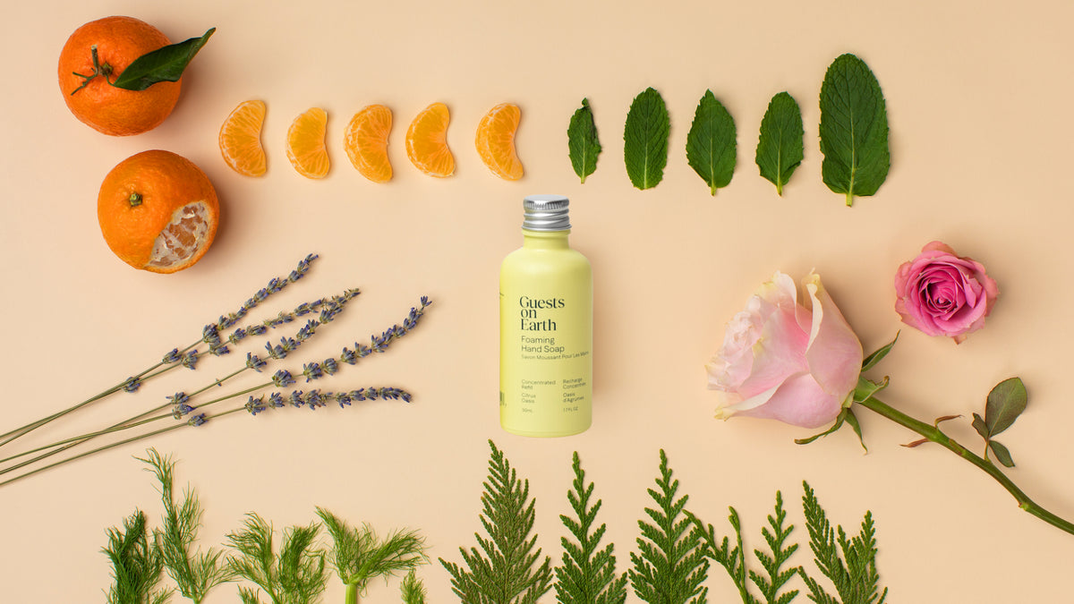 All-Purpose Cleaner Citrus Oasis