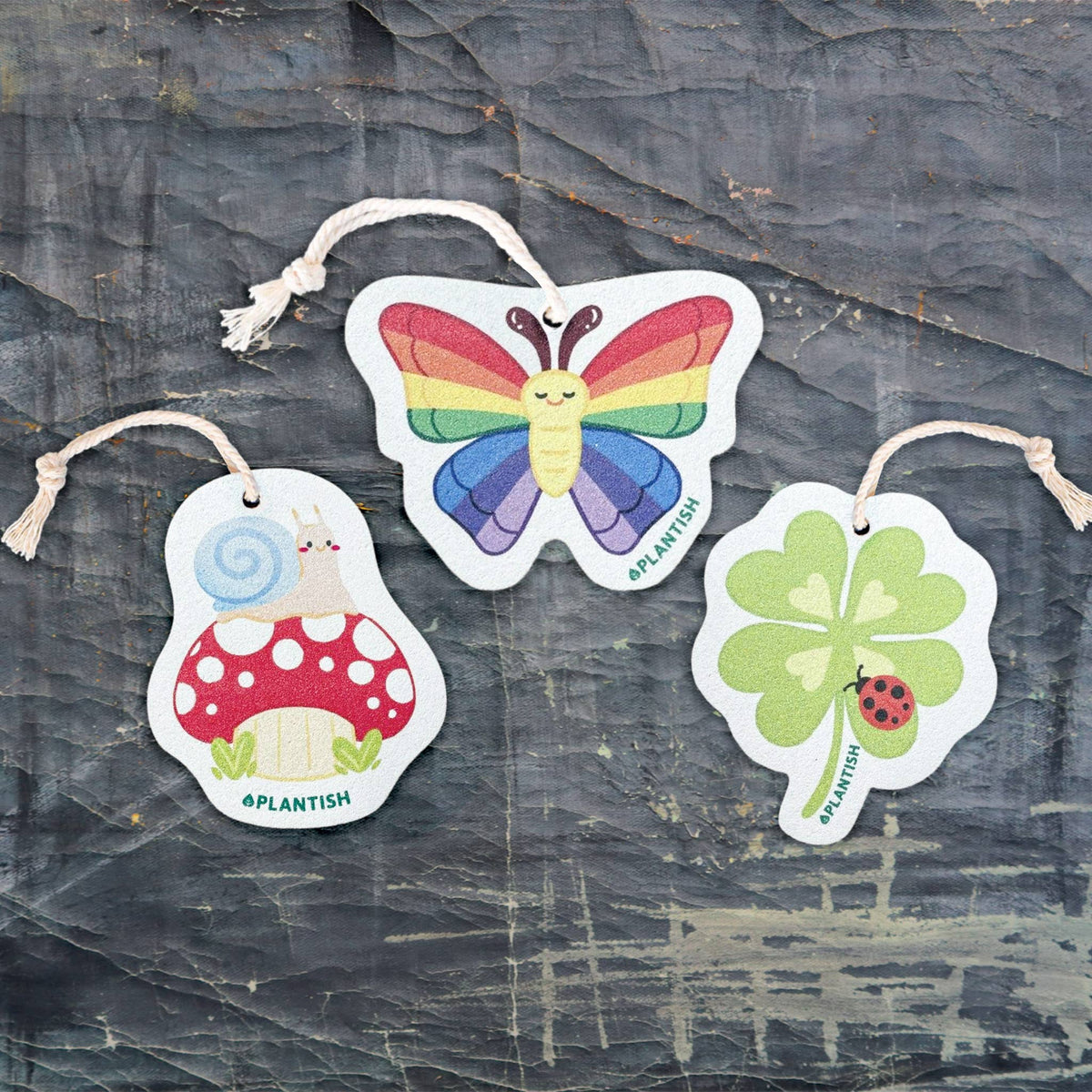 Rainbow Flutter - Pop Up Sponge