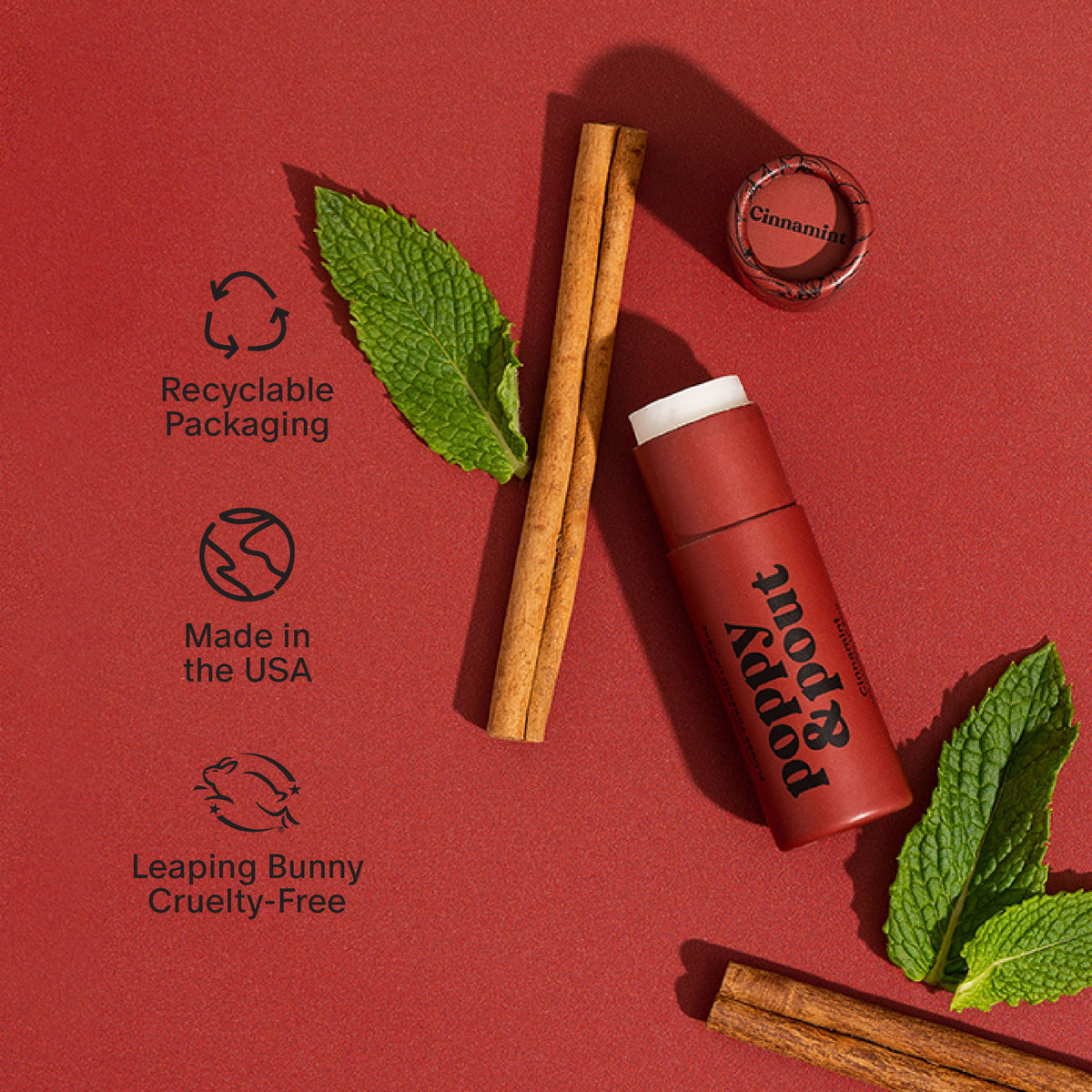 Lip Balm - Cinnamint