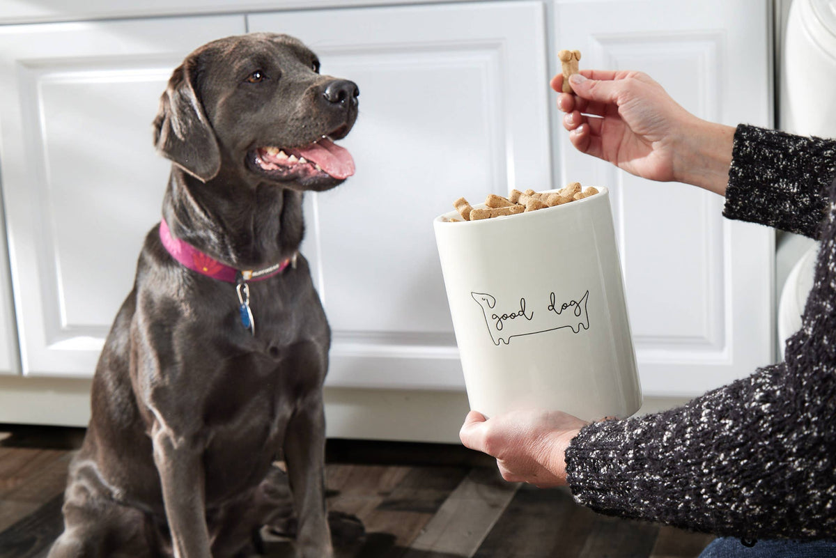 Good Dog Ceramic Treat Jar with Wooden Lid
