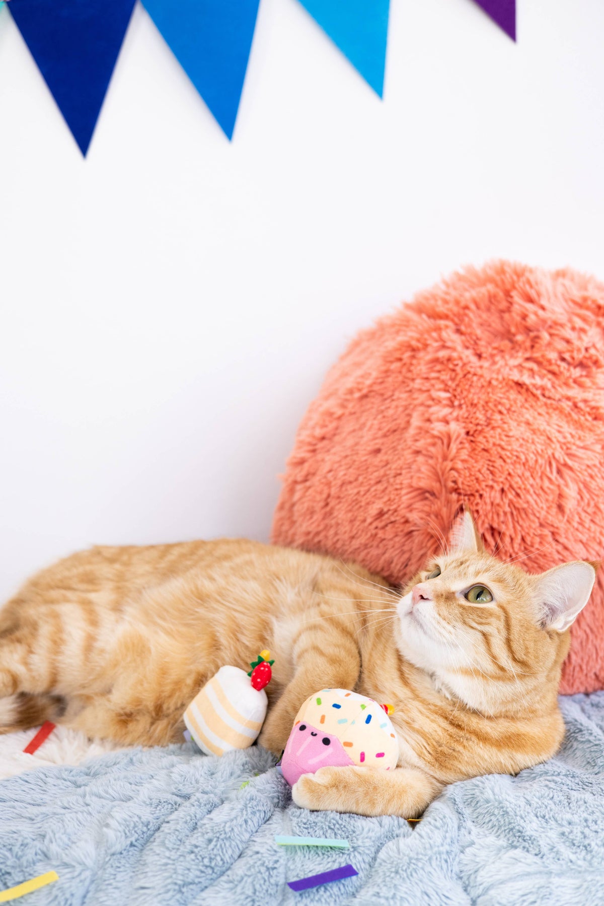 Birthday Cake Cat Toy Set