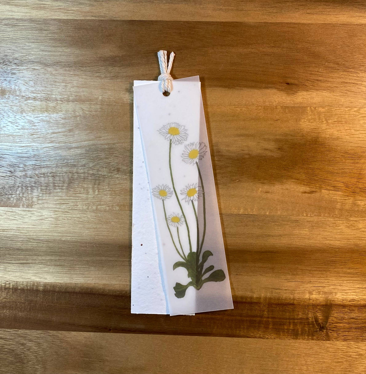 The Raven’s Edge Studio - Plantable Bookmark: 2 in 1 Eco Bookmark, English Daisies
