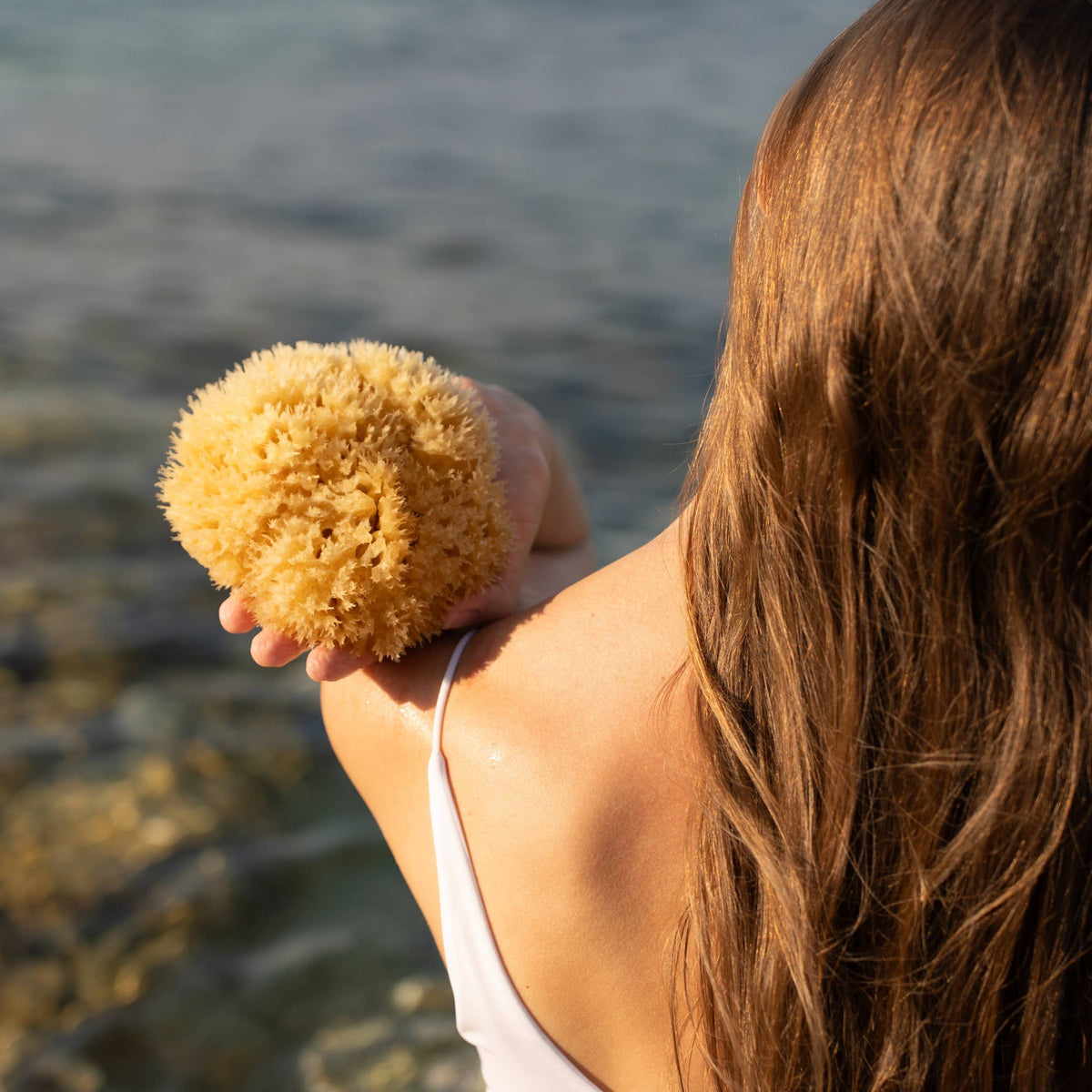 Croll & Denecke - Natural sponge in an eco-friendly gift box — alternate product image, view 4