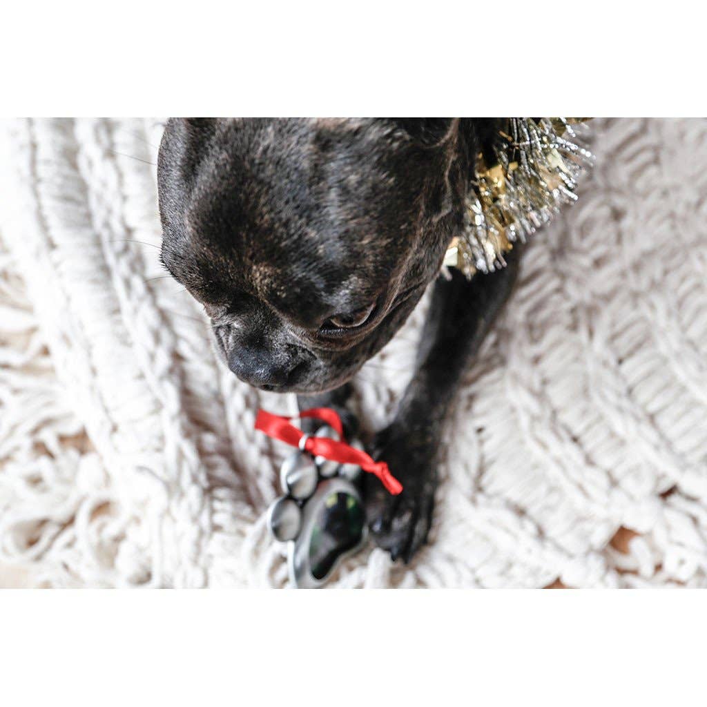 Paw Shaped Pet Silver Christmas Photo Ornament