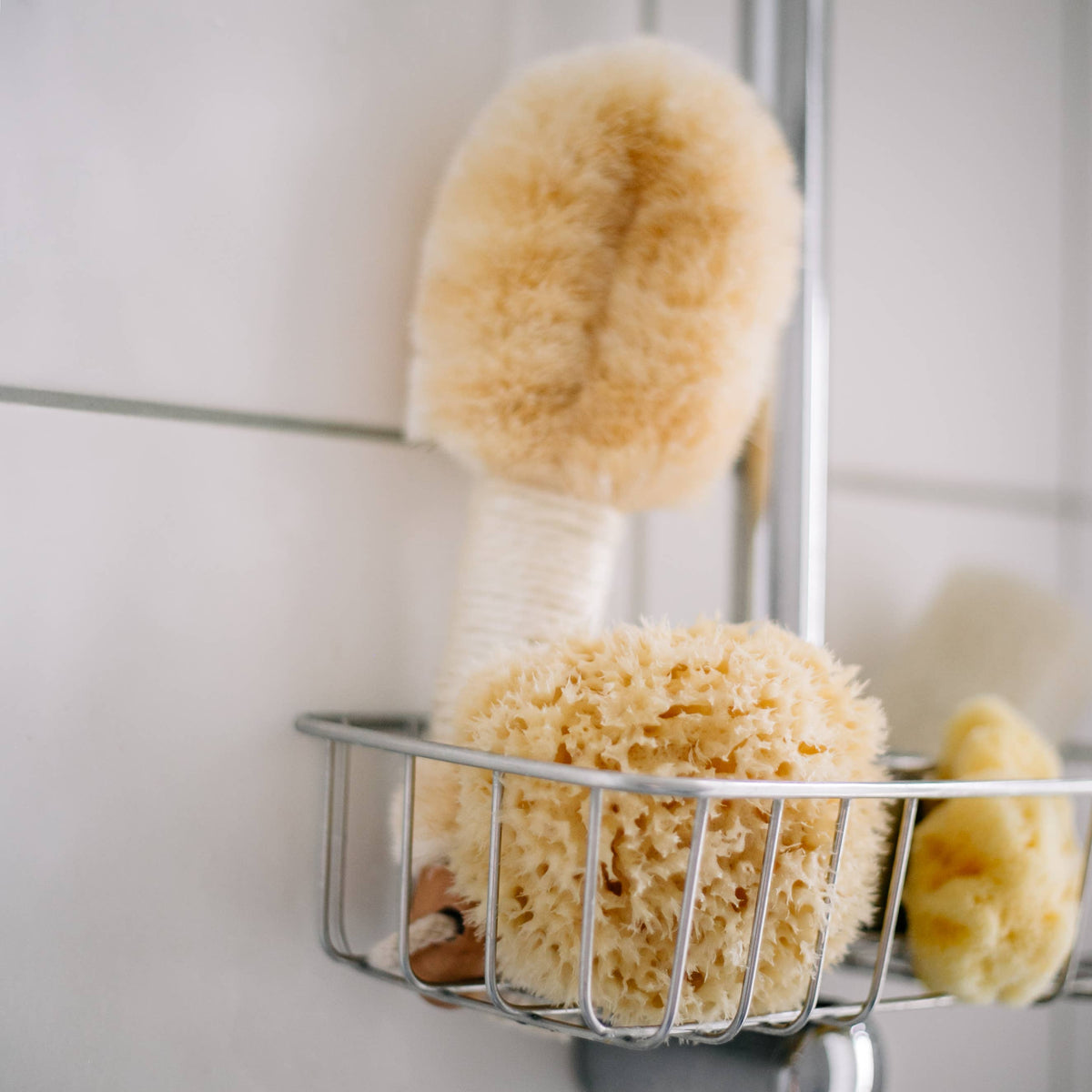 Croll & Denecke - Natural sponge in an eco-friendly gift box — alternate product image, view 5