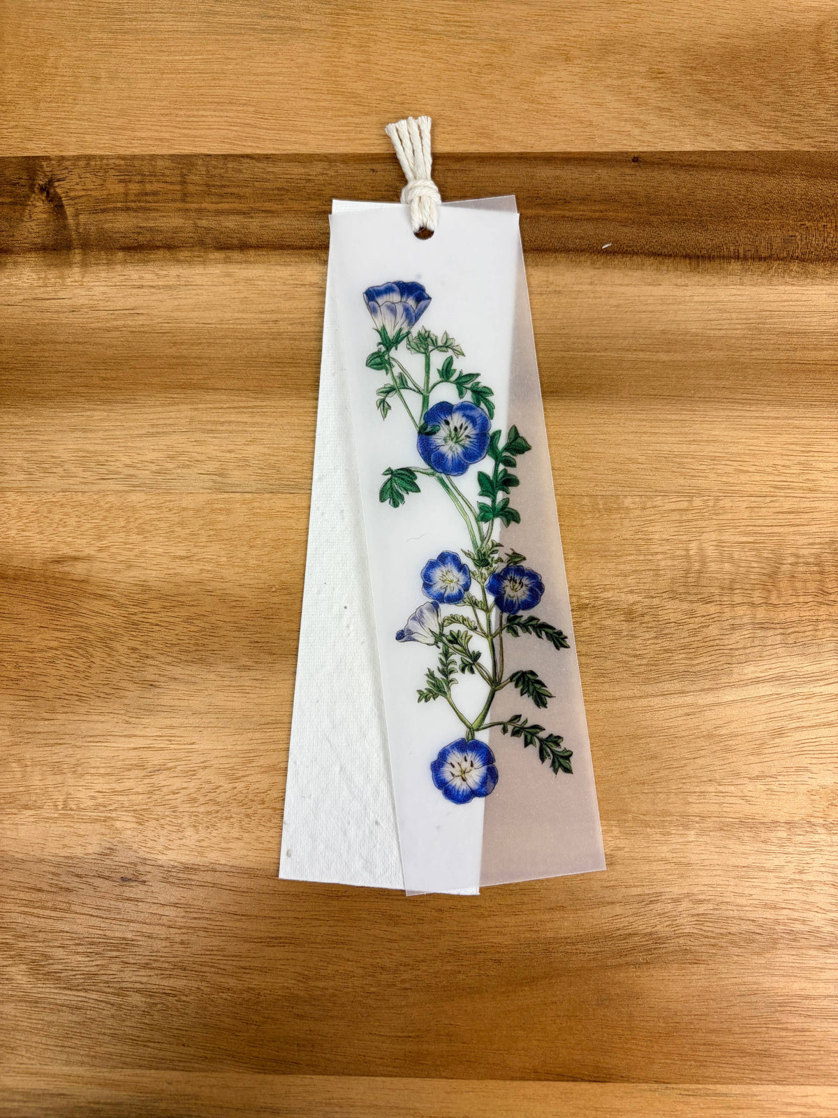 Plantable Bookmark: Baby Blue-eyes