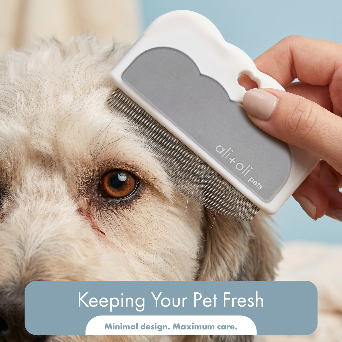 Ali+Oli - Ali+Oli Pets Eye & Face Grooming Comb for Dogs & Cats