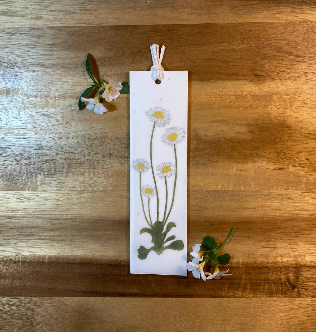 The Raven’s Edge Studio - Plantable Bookmark: 2 in 1 Eco Bookmark, English Daisies