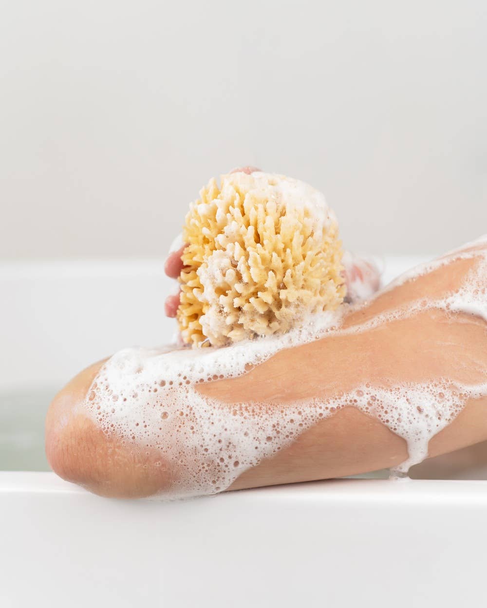 Croll & Denecke - Natural sponge in an eco-friendly gift box — alternate product image, view 3