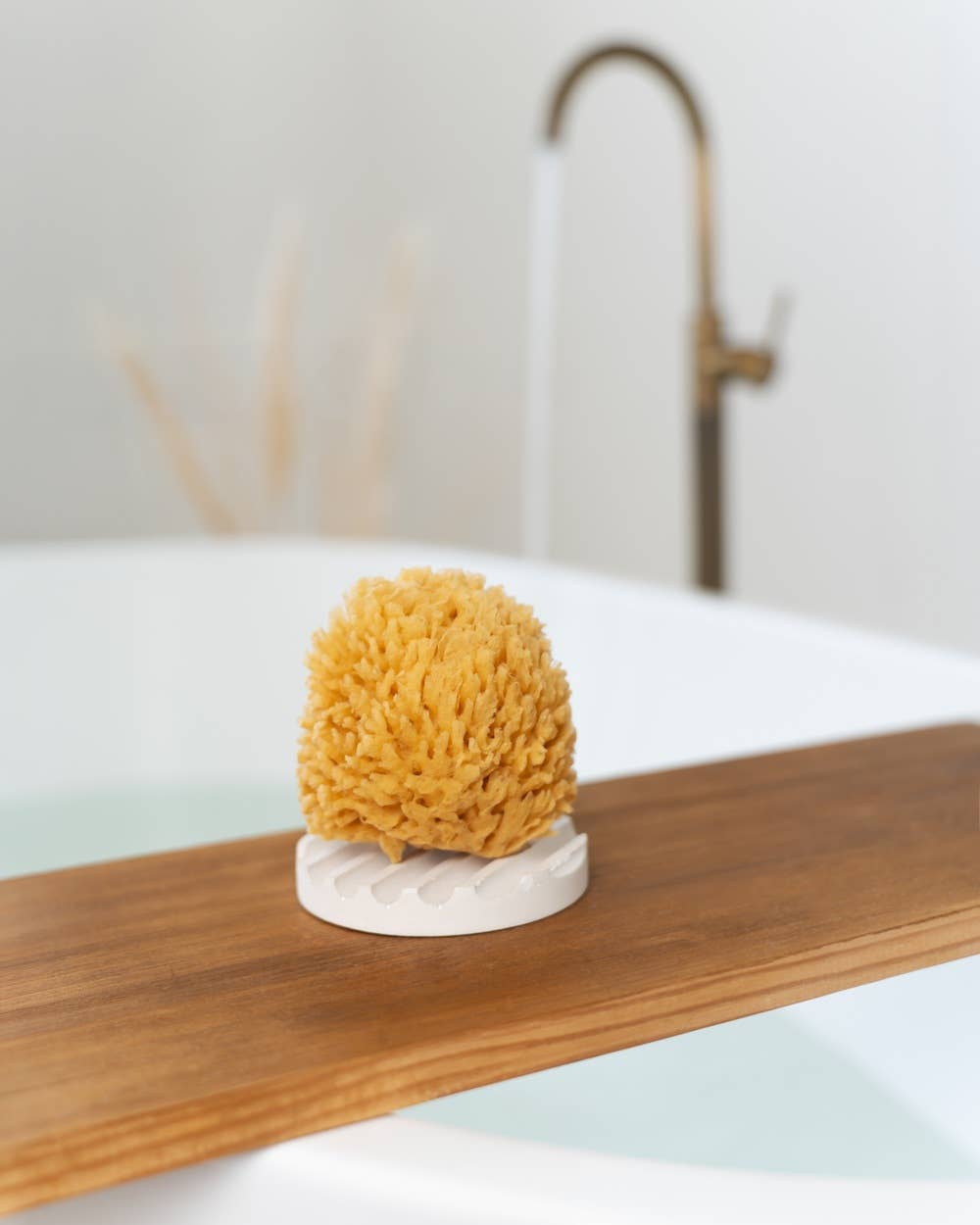 Croll & Denecke - Natural sponge in an eco-friendly gift box — alternate product image, view 6