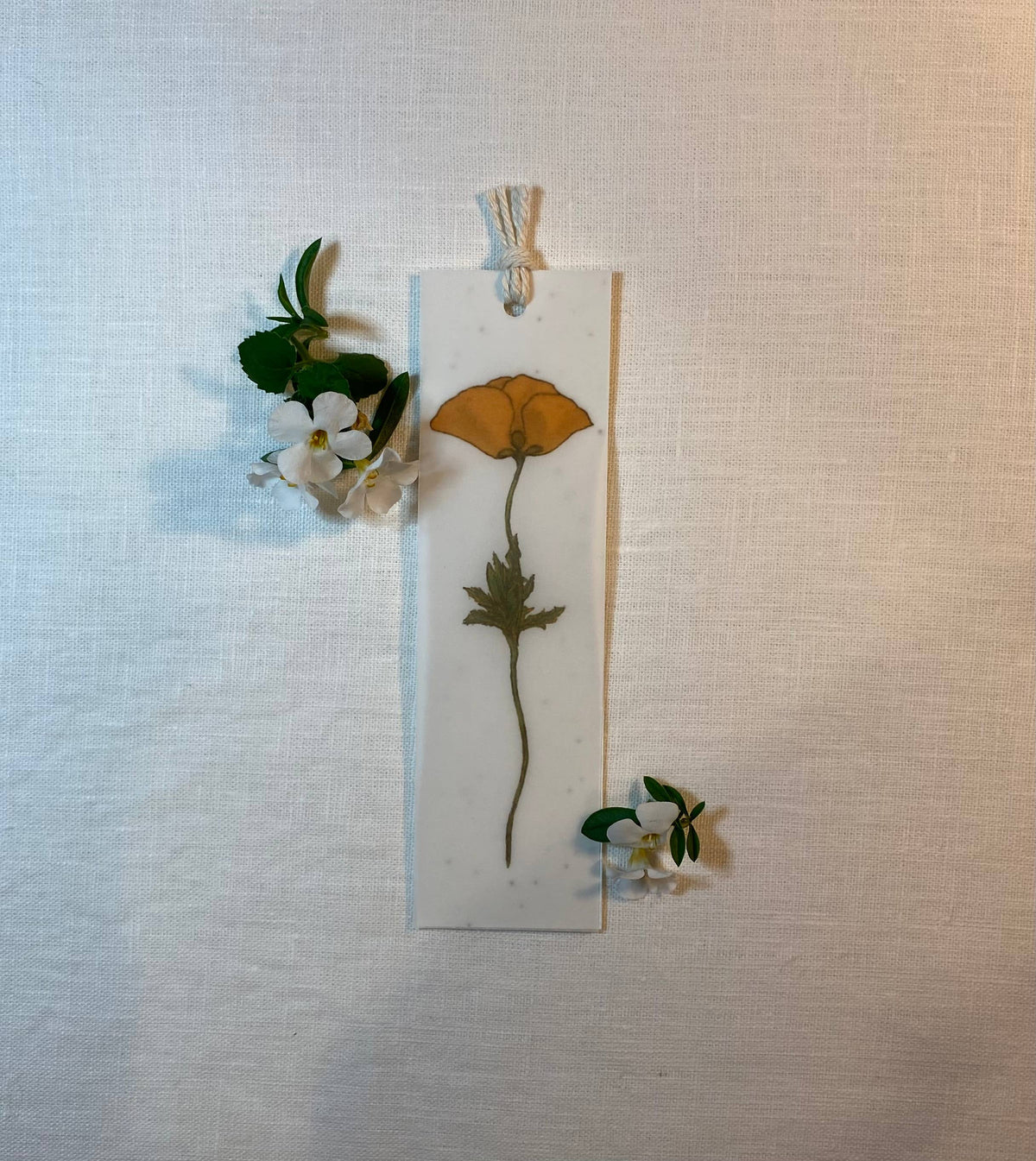The Raven’s Edge Studio - Plantable Bookmark: 2 in 1 Wildflower Bookmark, Corn Poppy