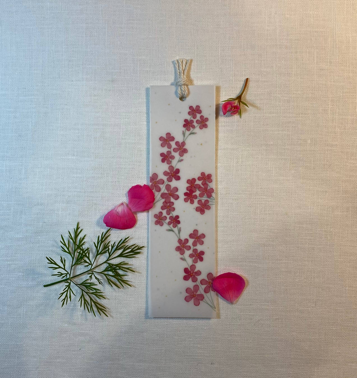 The Raven’s Edge Studio - Plantable Bookmark: 2 in 1 Eco Bookmark, Maiden Pinks