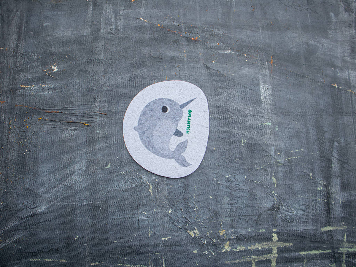 Plantish – Unicorn Dolphin - Pop up Sponge, isolated product on a plain background; plant-based sponge