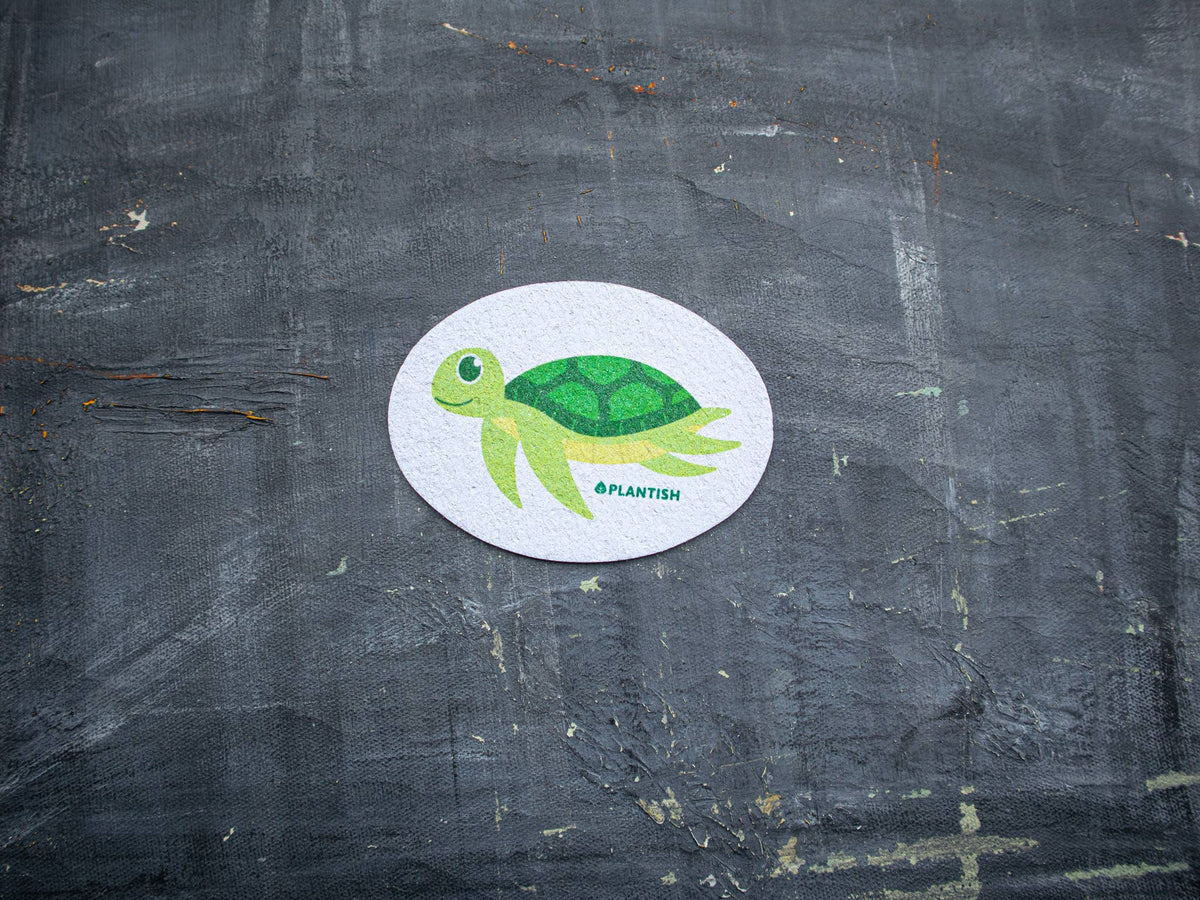 Plantish Sea Turtle - Pop up Sponge - small sea turtle pop up sponge on dark surface; plant-based