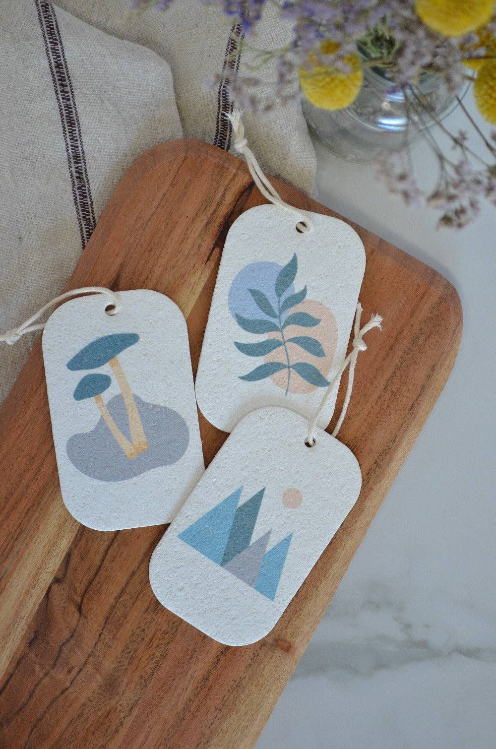 Esponjas de platos desplegables, paquete de 3