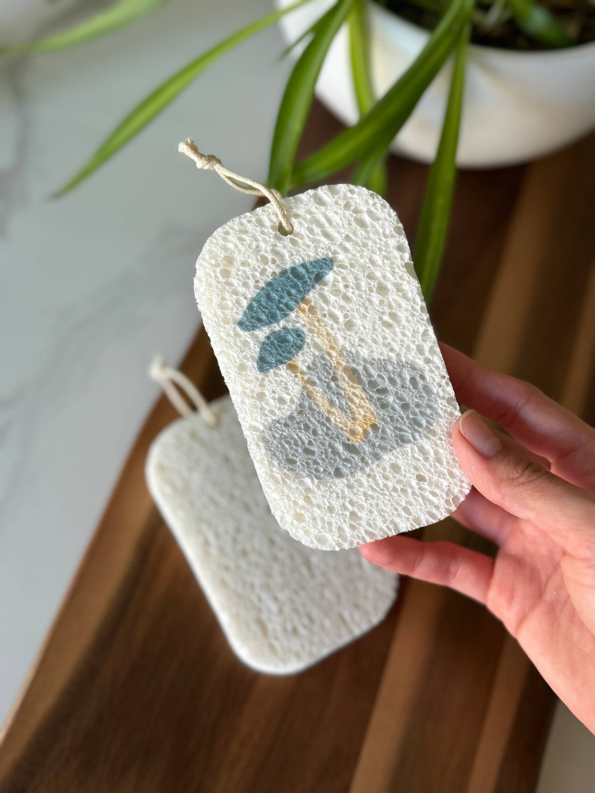 Esponjas de platos desplegables, paquete de 3