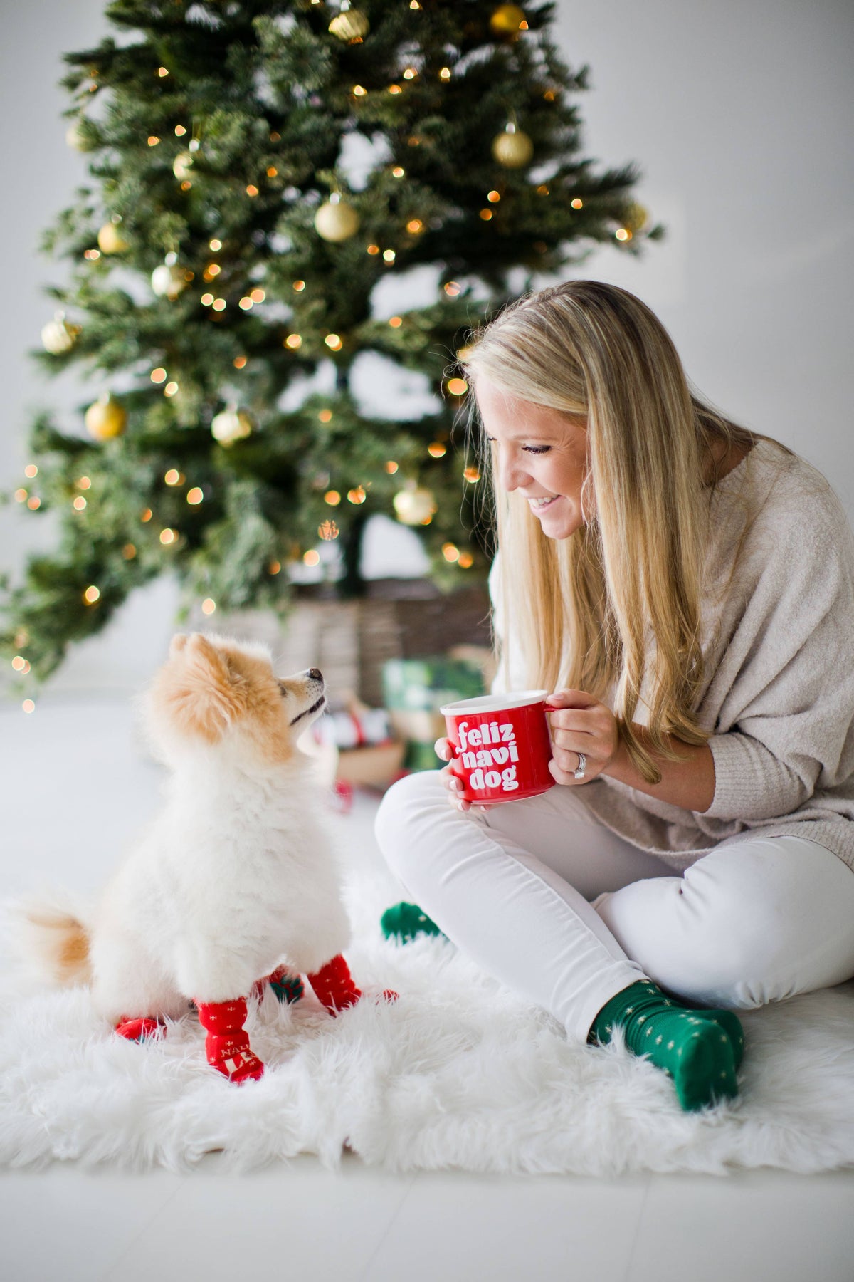Nice & Naughty List Human & Dog Christmas Sock Set
