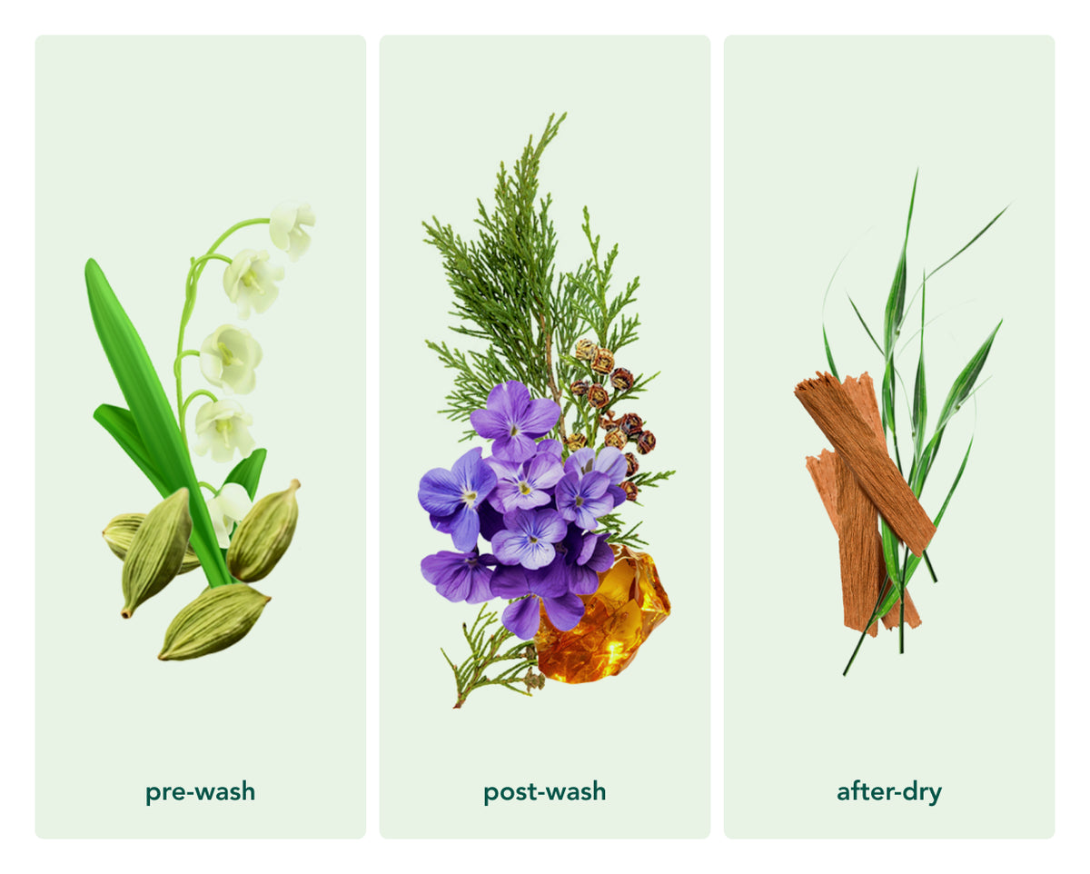 Zero Waste Laundry Detergent Sheets (Wood Haven)