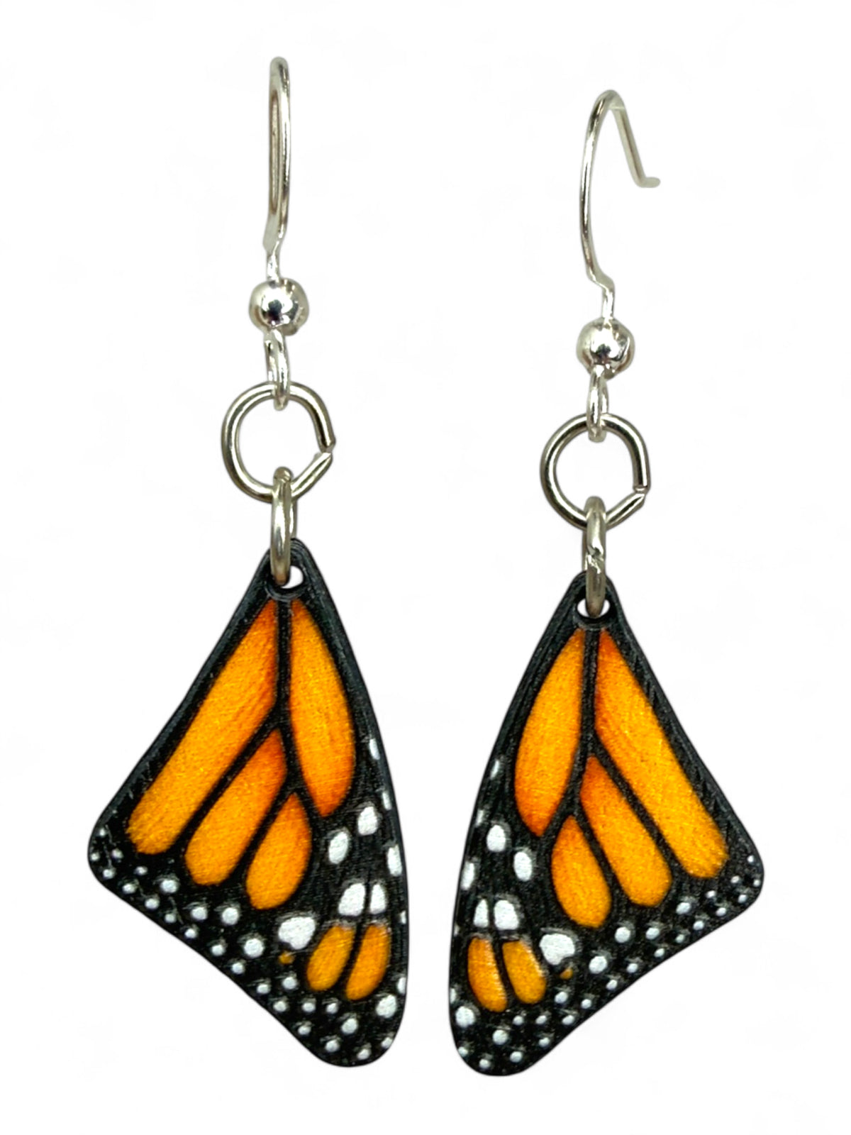 Monarch Butterfly Sleeping Wing #1916