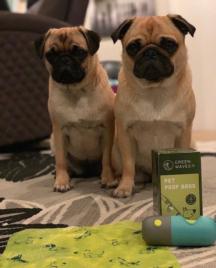 Poop Bag Dispenser with LED Flashlight