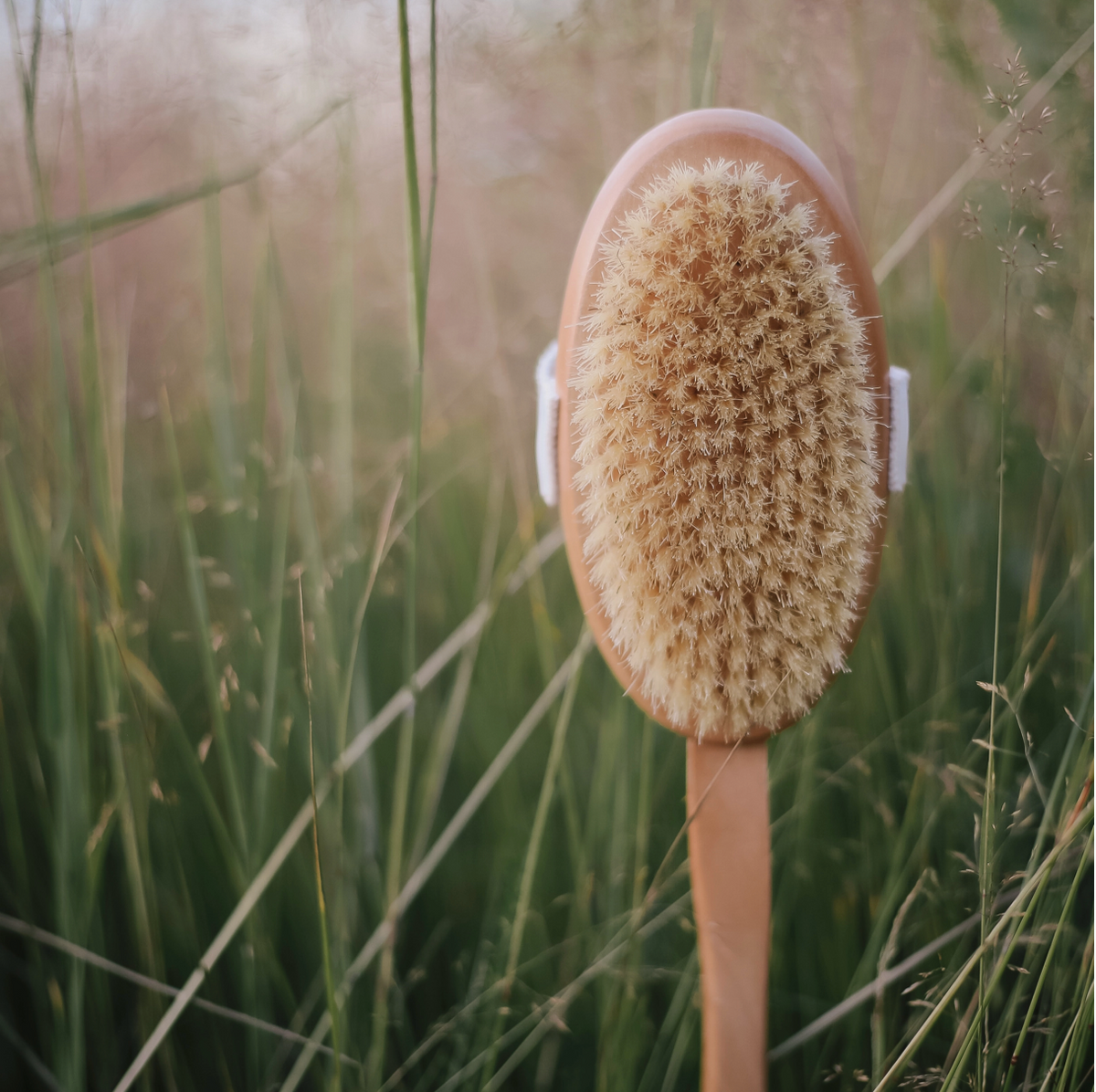 Wood Body Brush with Handle