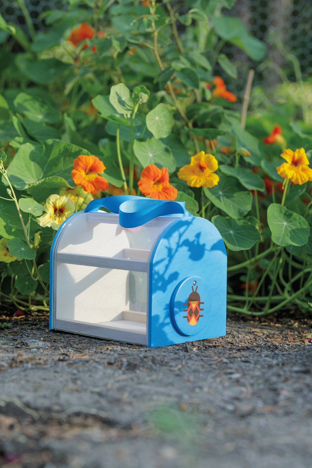 Beetle & Bee Critter Case Certified Wood-Outdoor Play