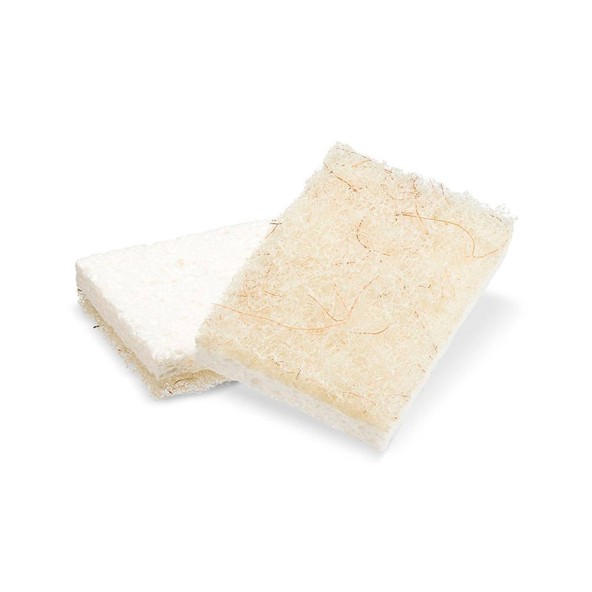 Coconut Husk Scrubber Sponge (2pk) in CDU