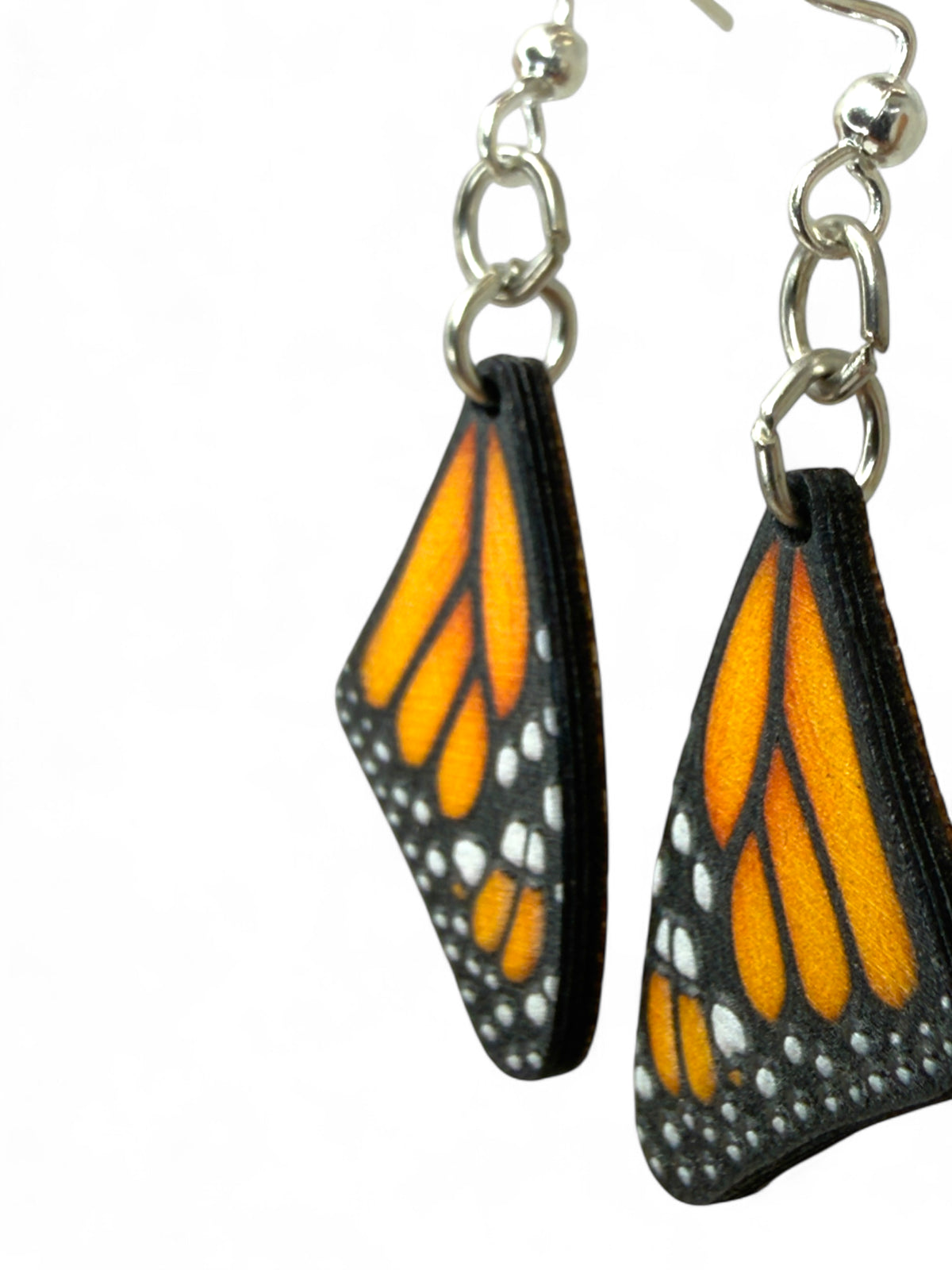 Monarch Butterfly Sleeping Wing #1916