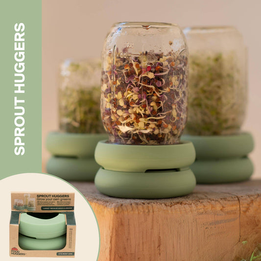 Food Huggers – Reusable Silicone Sprouting Lids, in a kitchen or table setting; BPA-free silicone