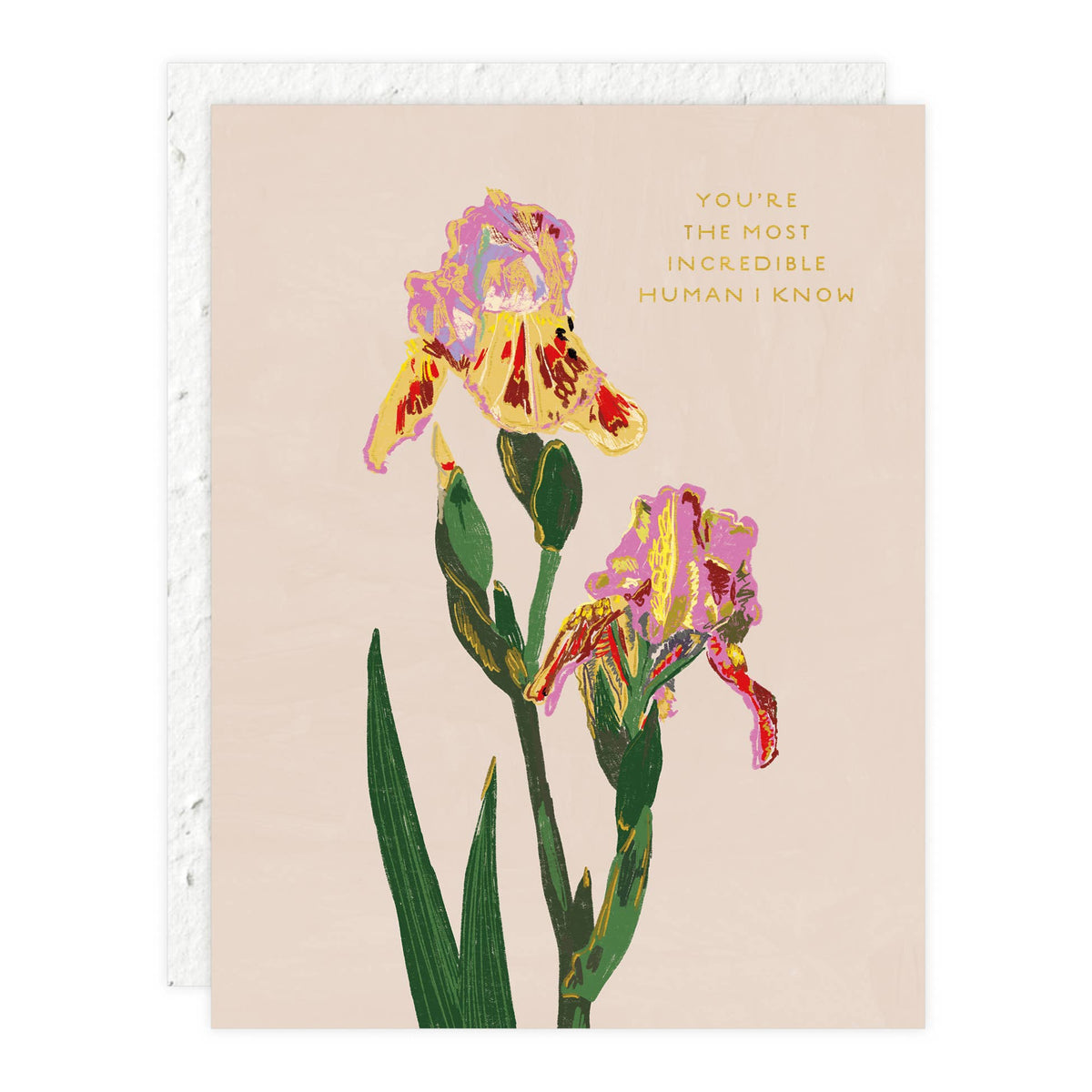 Whimsy Bloom - Love + Friendship Card
