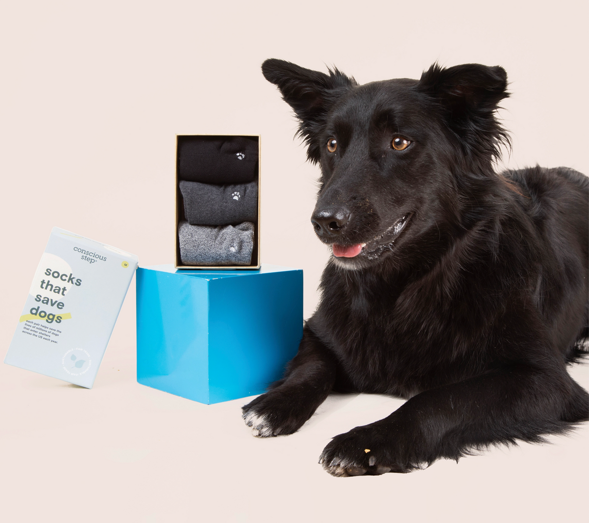Ankle Socks Box Set of Three - That Save Dogs
