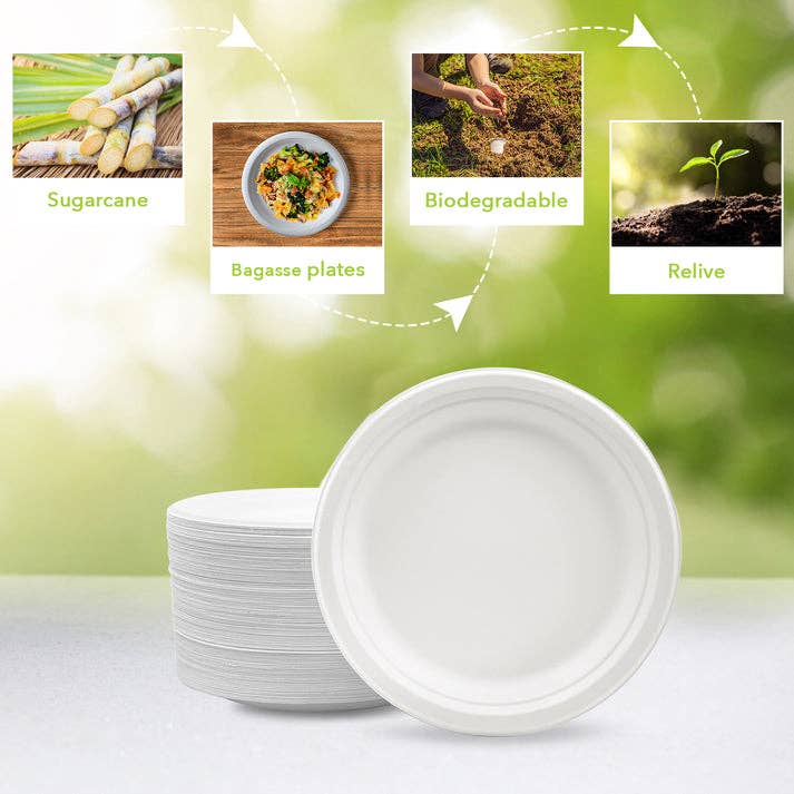 Compostable Round Plate, 25 Ct.
