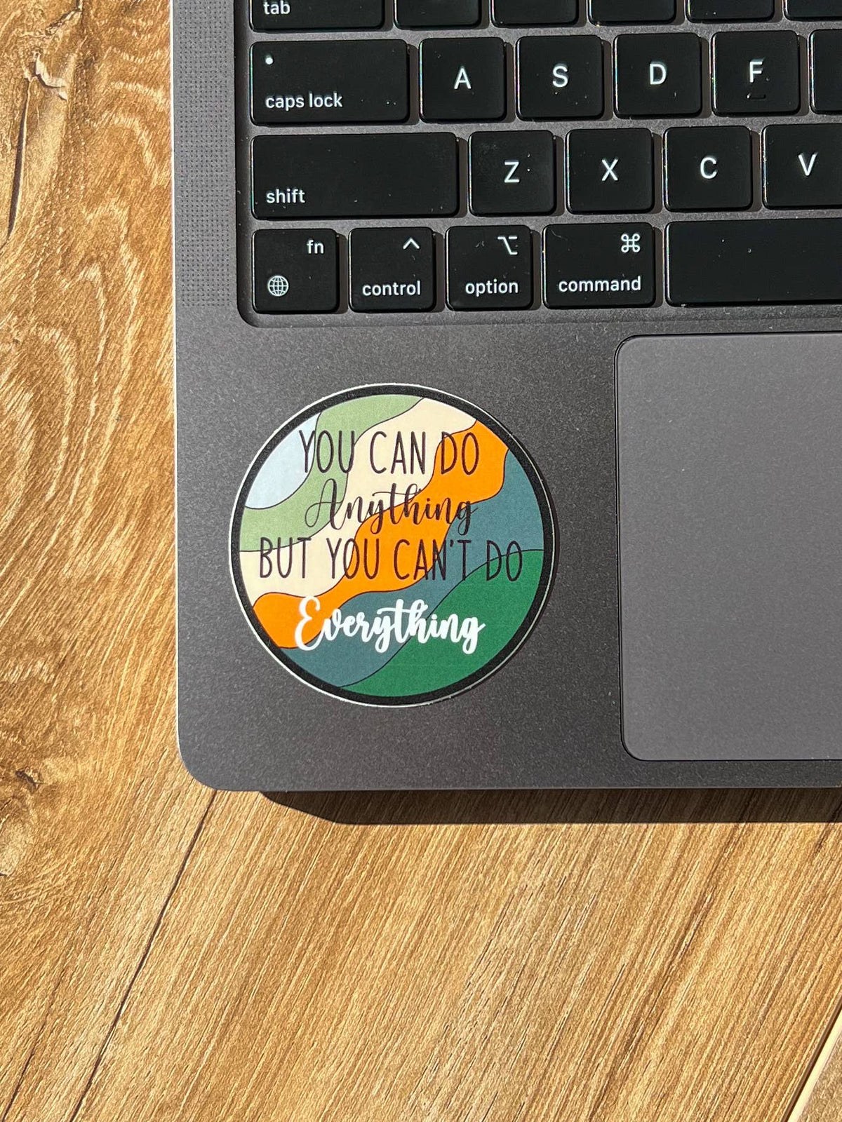 You can do anything but you can't do everything sticker