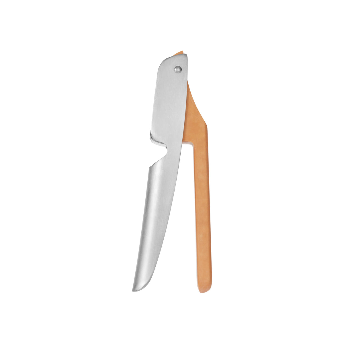 The No Mess Garlic Press (formerly Crushed It)