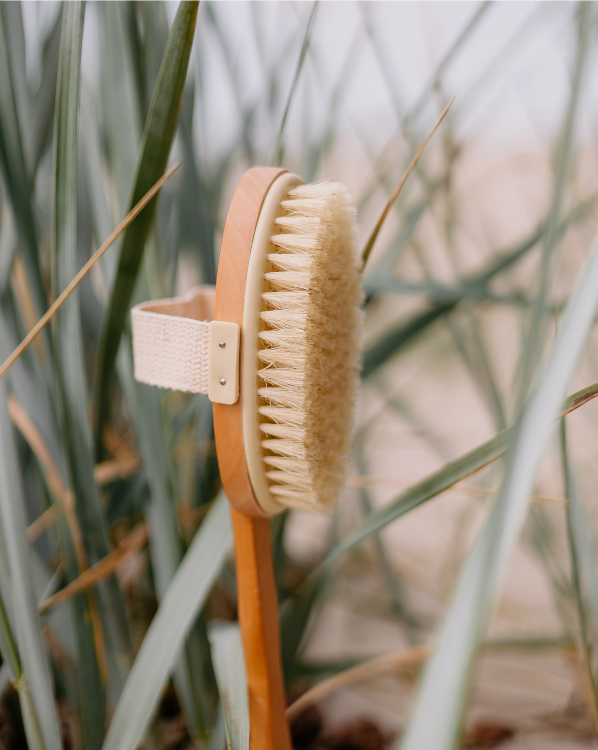 Wood Body Brush with Handle