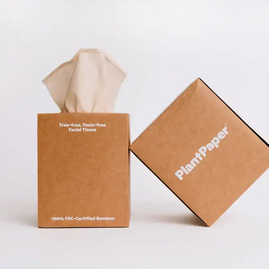 PlantPaper FSC-certified unbleached bamboo facial tissues: PlantPaper tissues in plastic-free kraft dispenser boxes