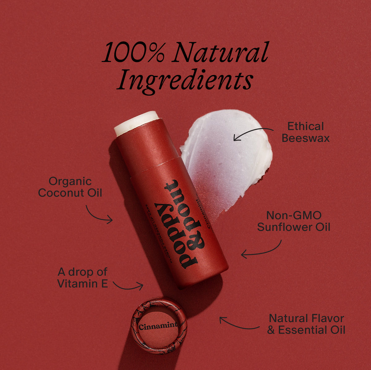 Lip Balm - Cinnamint
