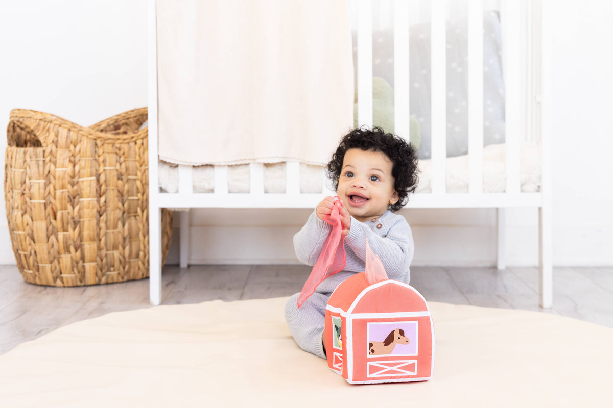 6-12 Months Learning Kit, Montessori Developmental Toys