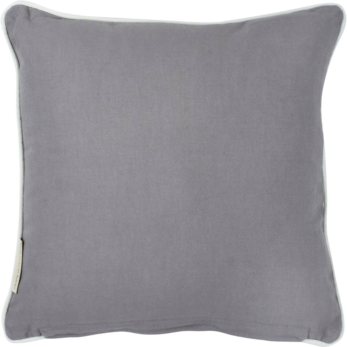 No Dogs Allowed On The Couch Pillow