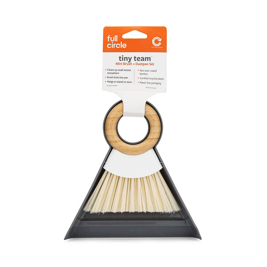 Tiny Team Mini Broom and Dustpan