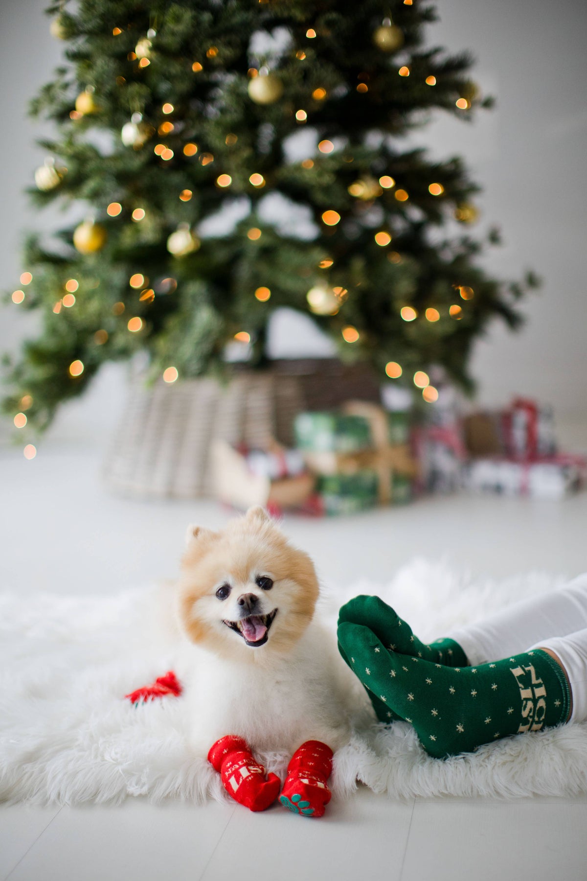 Nice & Naughty List Human & Dog Christmas Sock Set